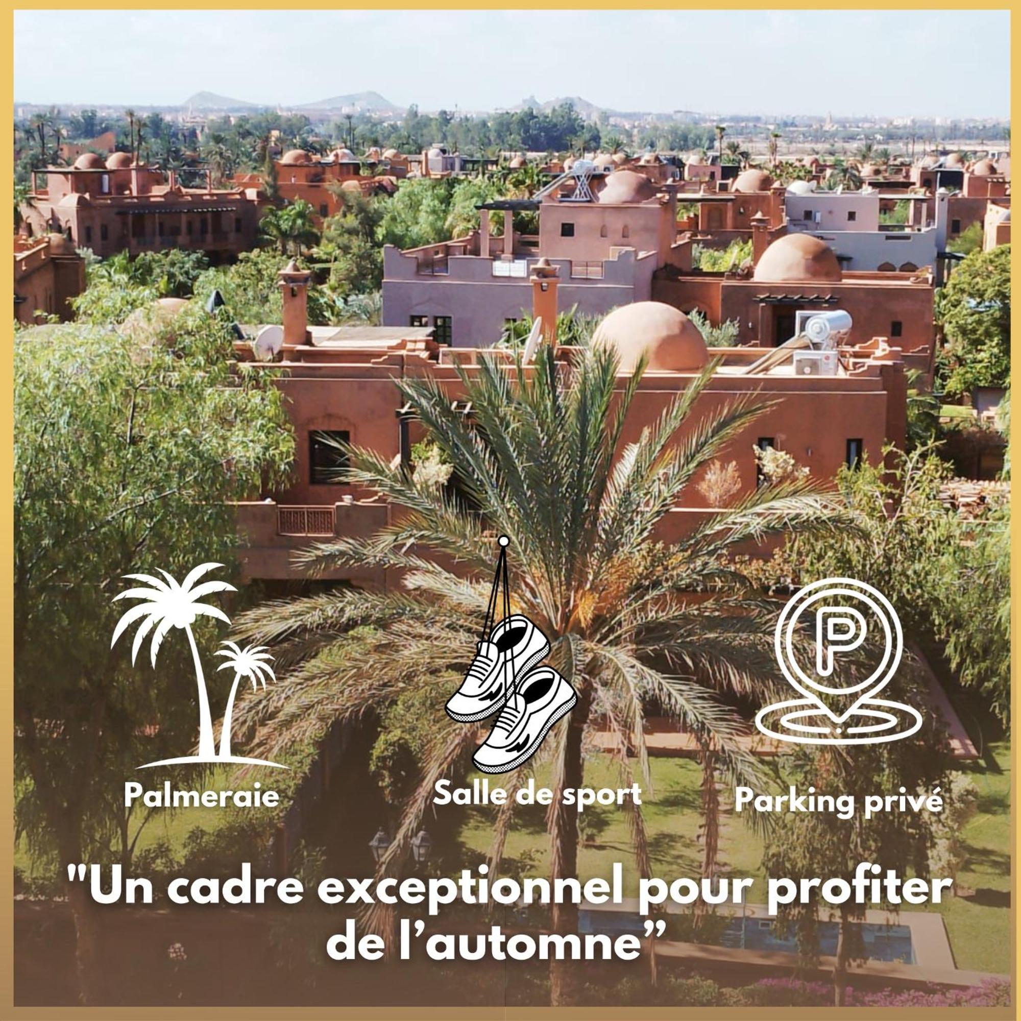 Palma Dans La Palmeraie